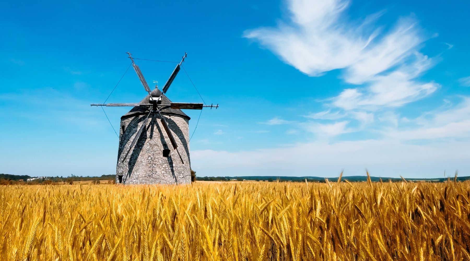 Pasta Artigianale di Grani Antichi Siciliani, qualità nel tempo | Bottega 27