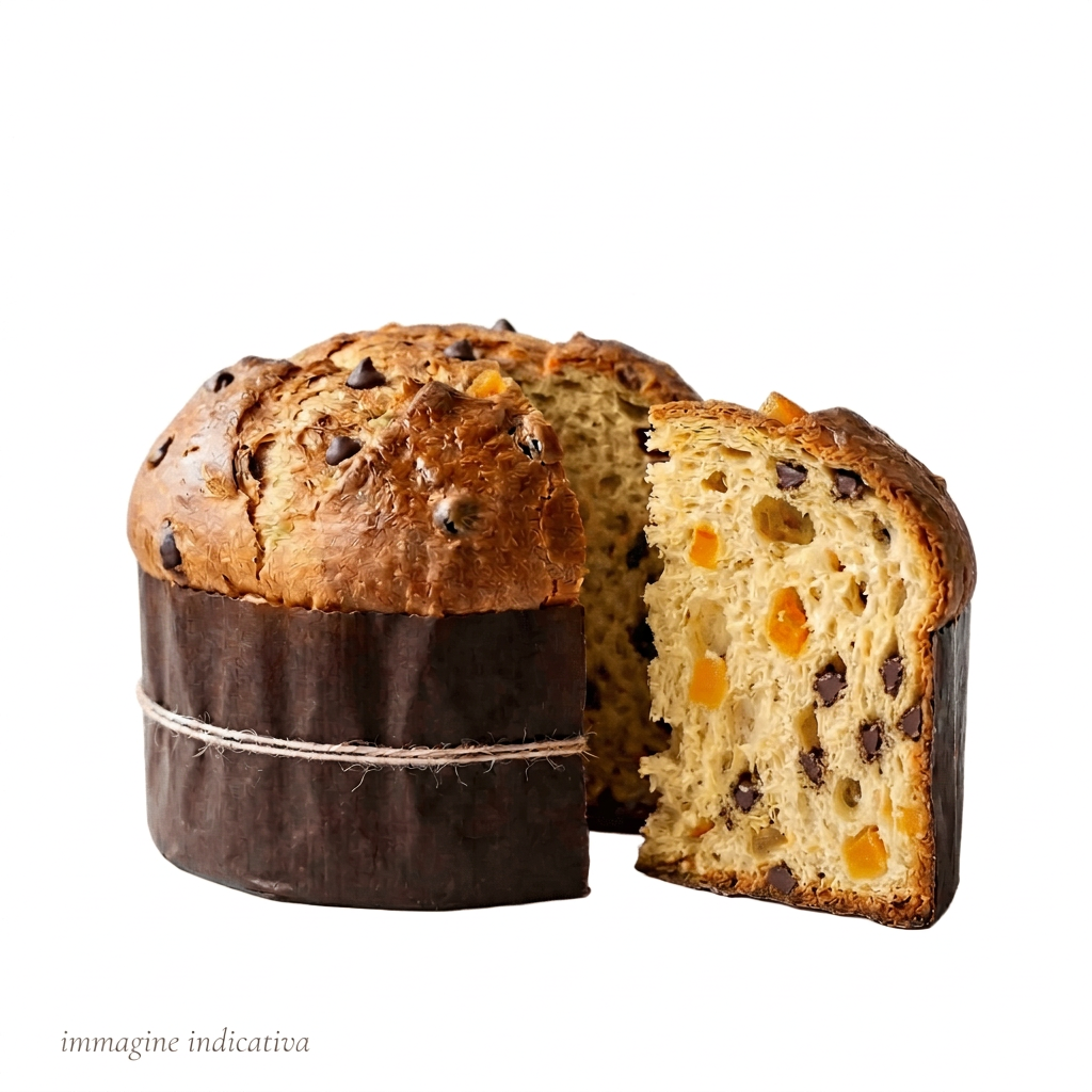 Panettone Artigianale cioccolato e albicocche
